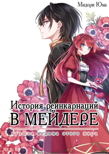 История реинкарнаций в Мейдере (LN)